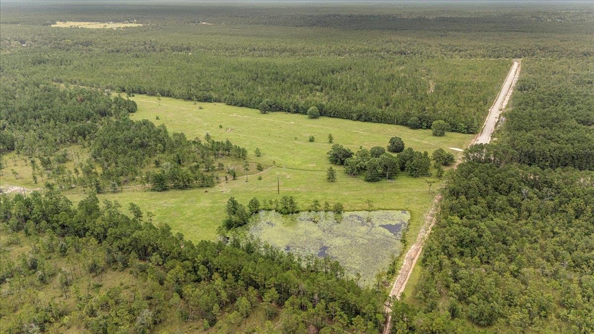 Ooo Horseshoe Road Kountze, TX 77625 - Photo 15 of 17