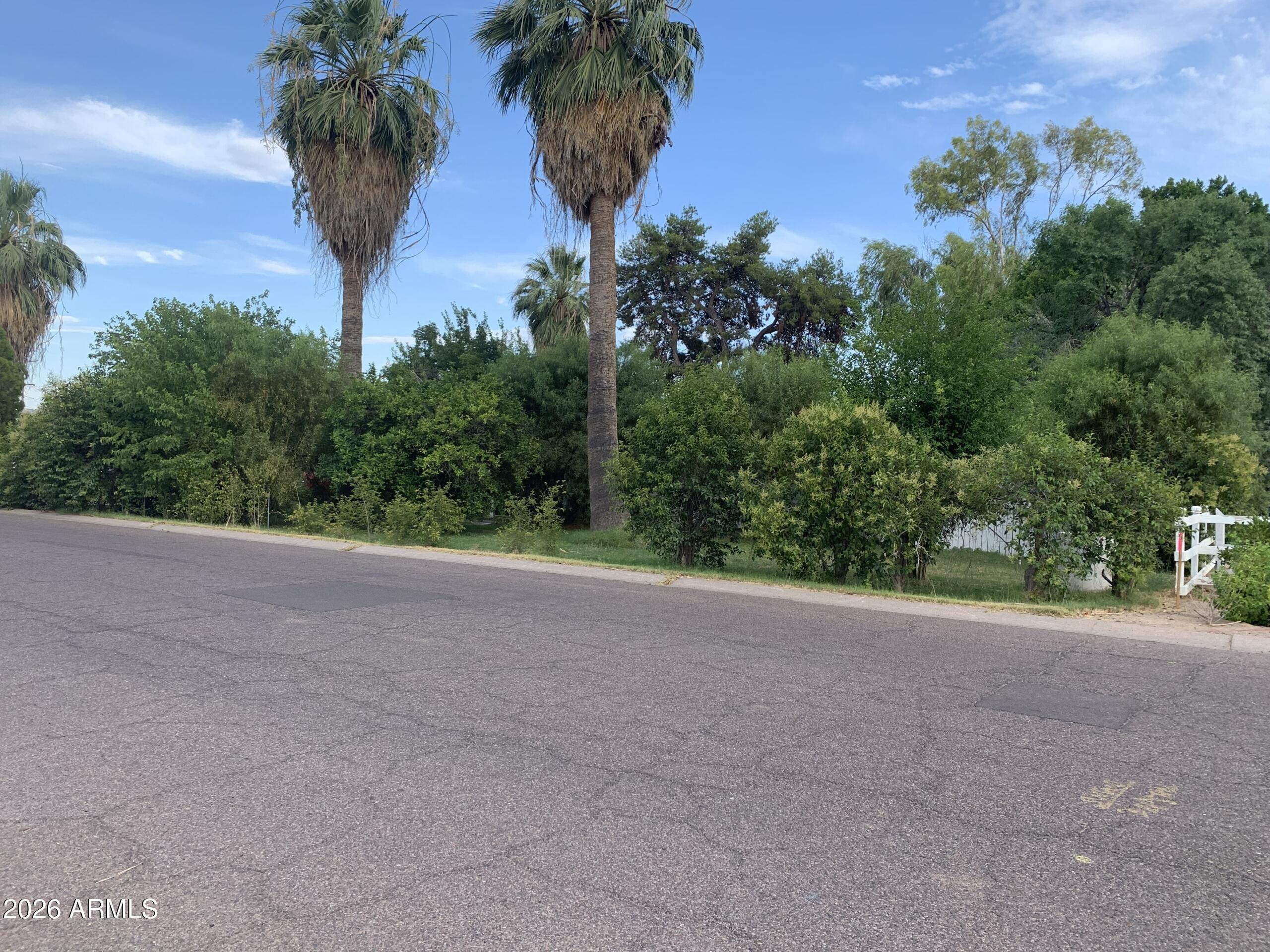 323 East Rose Lane Phoenix, AZ 85012 - Photo 4 of 20 a view of a yard with a tree