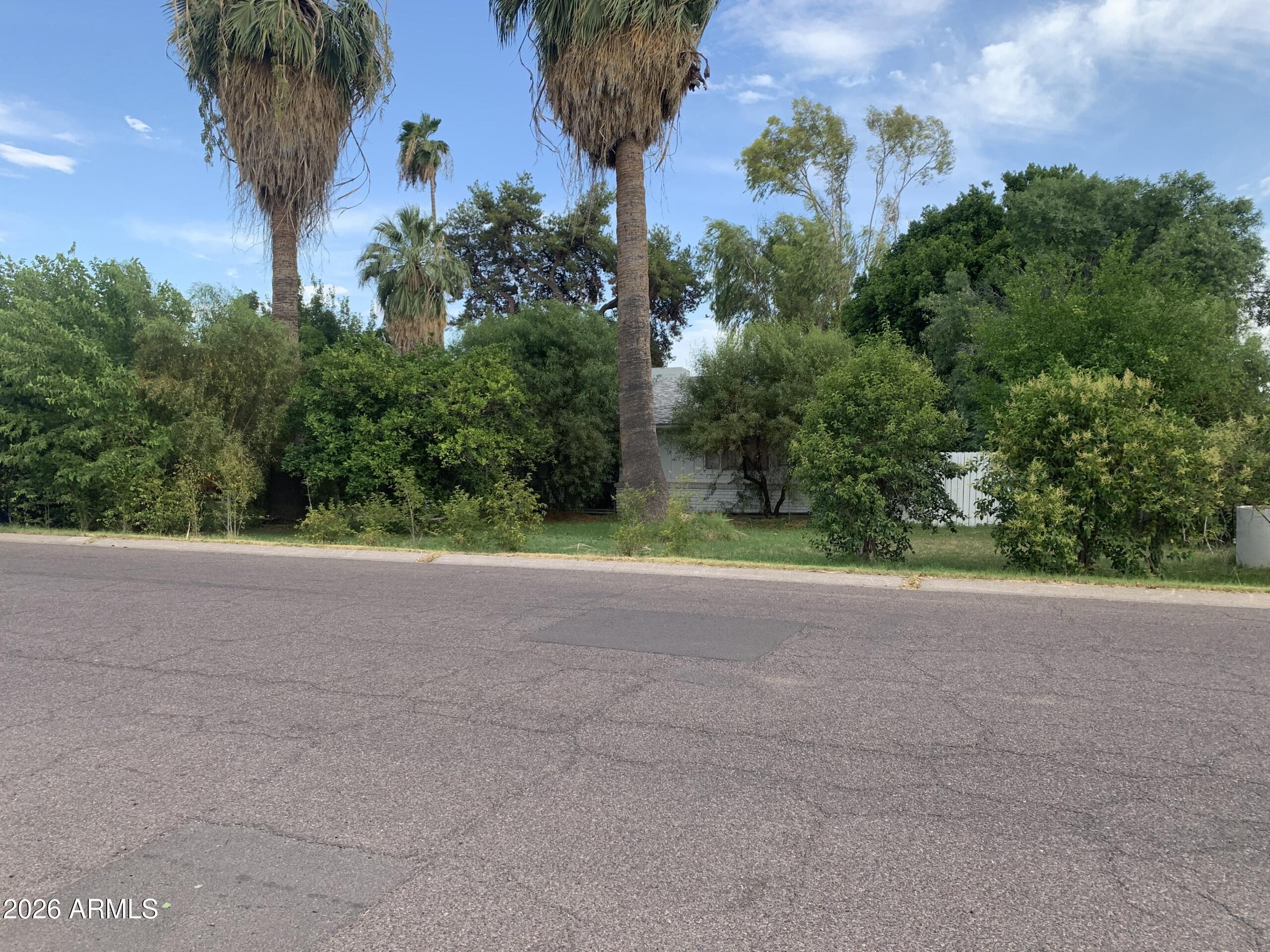 323 East Rose Lane Phoenix, AZ 85012 - Photo 5 of 20 a view of a yard