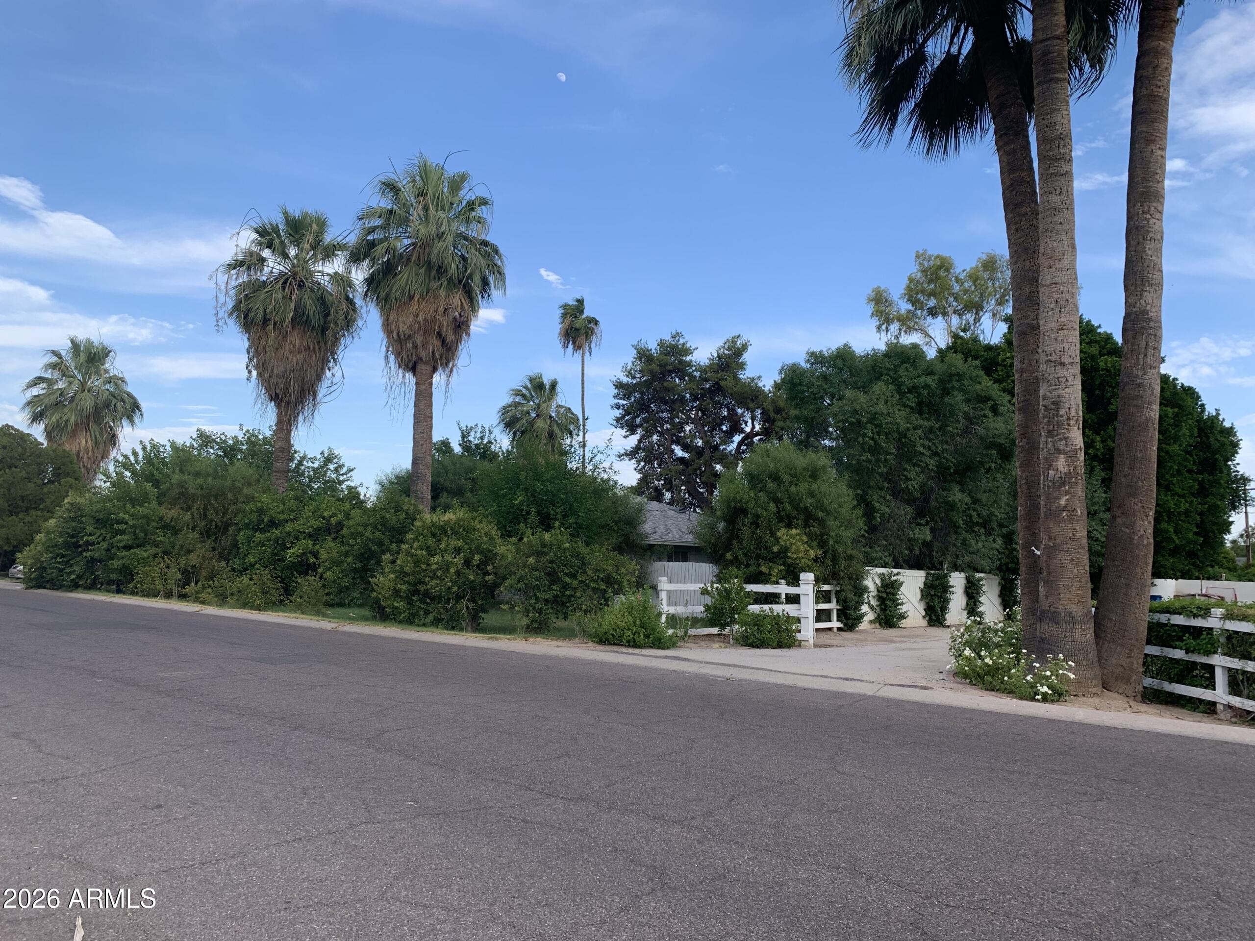 323 East Rose Lane Phoenix, AZ 85012 - Photo 6 of 20 a view of a street