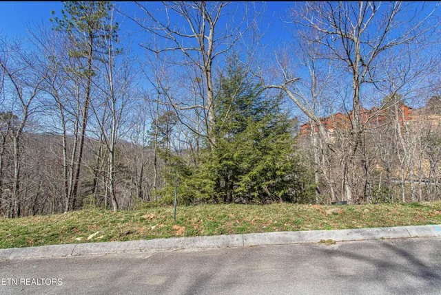 $85,000 | Lot#64 Smoky Ridge Way, Sevierville, TN 37862