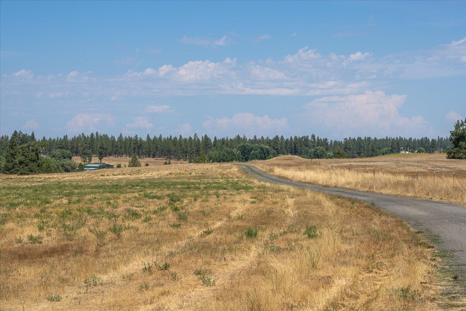177-xx South Smythe Road Spokane, WA 99224 - Photo 9 of 18