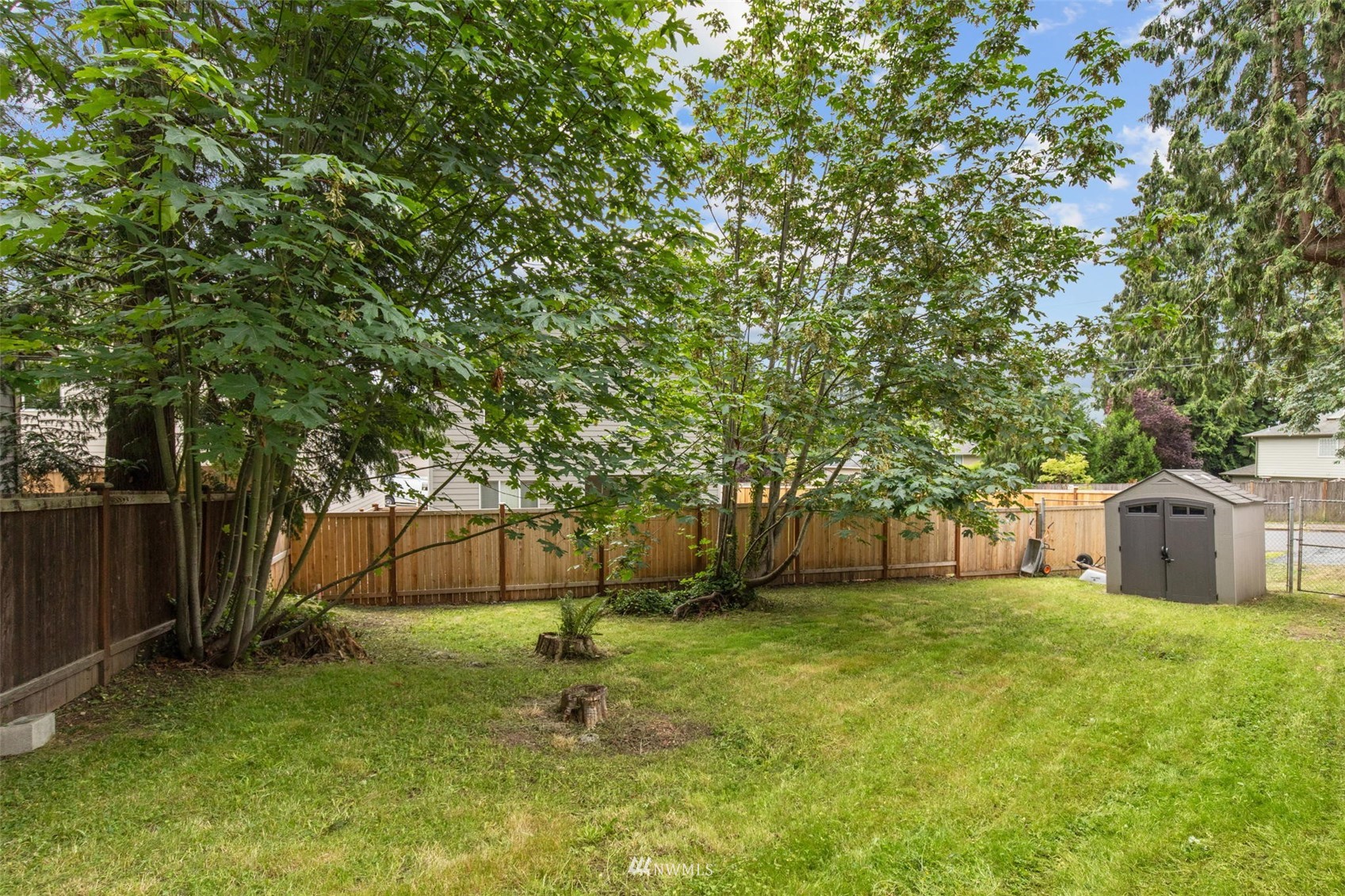 819 Duchess Road Bothell, WA 98012 - Photo 36 of 40 a house with a tree in front of it