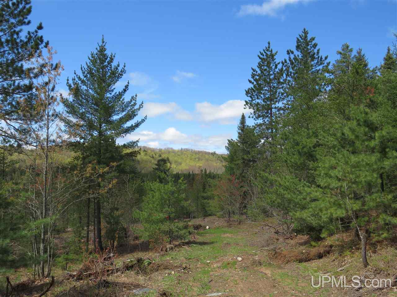 Tbd Tbd Off The Boise Route Road Negaunee, MI 49866 - Photo 7 of 45