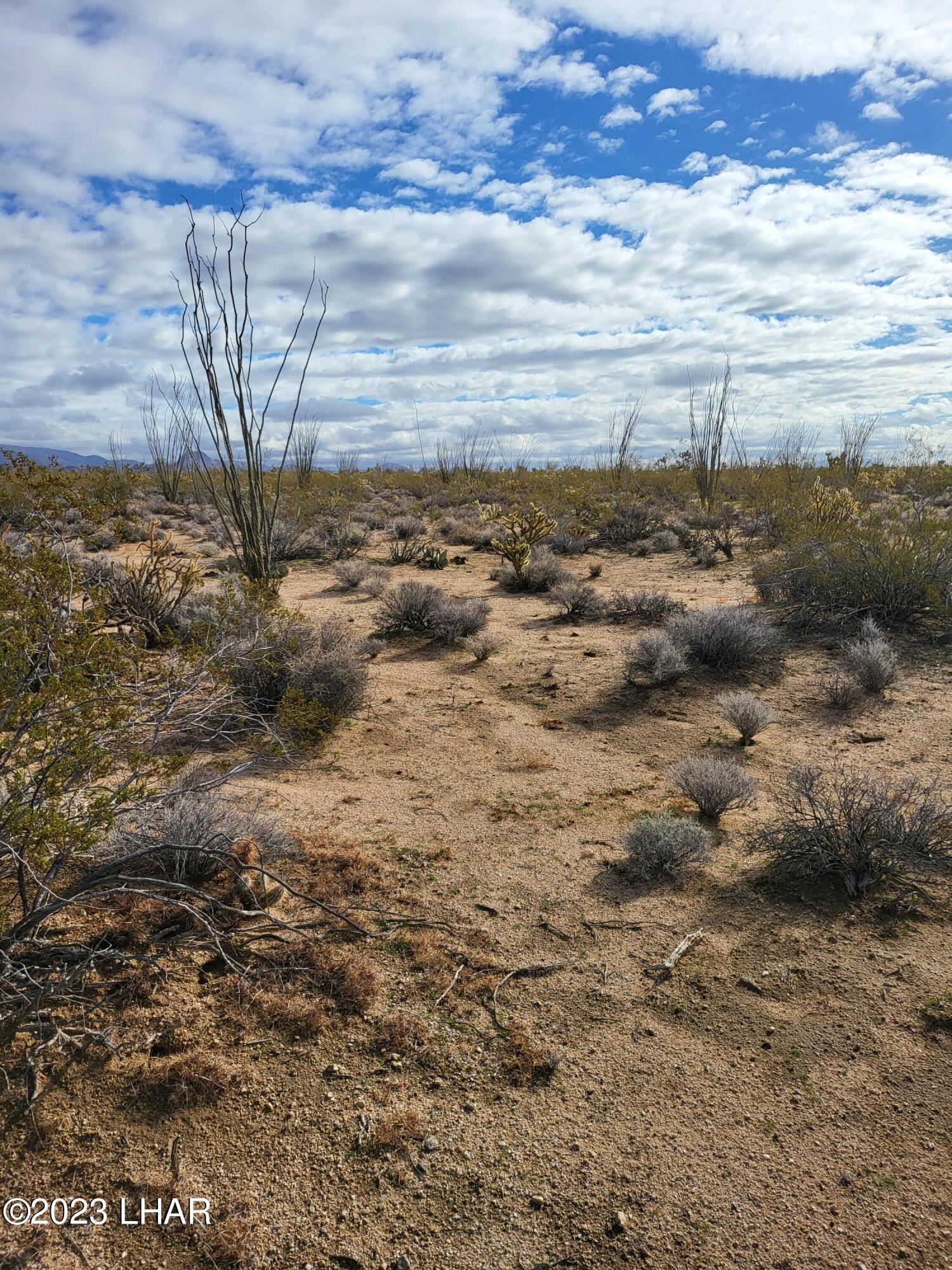 2832 South Billy The Kid Road Yucca, AZ 86438 - Photo 2 of 9 20230103_111233