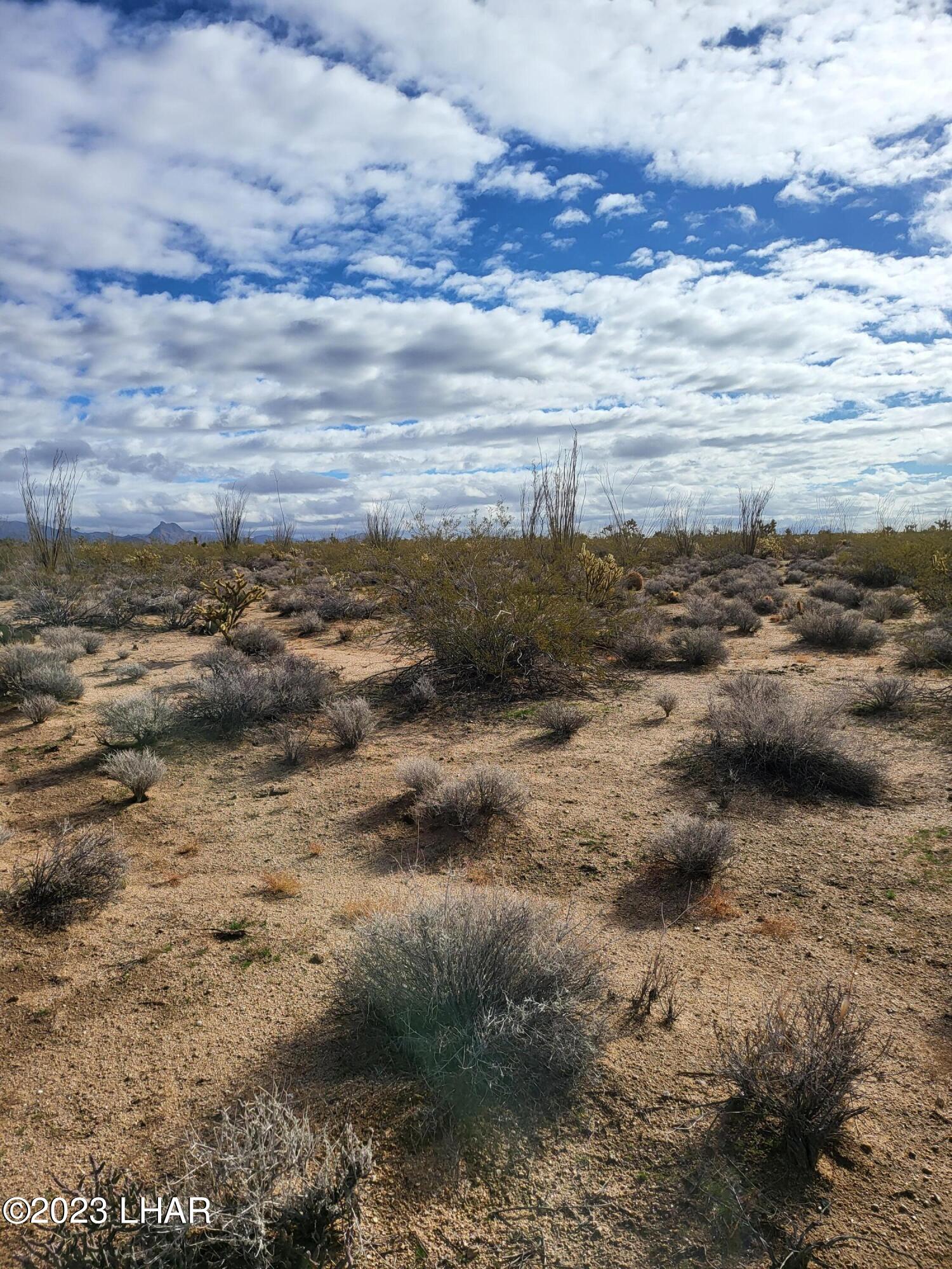 2832 South Billy The Kid Road Yucca, AZ 86438 - Photo 3 of 9 20230103_111248