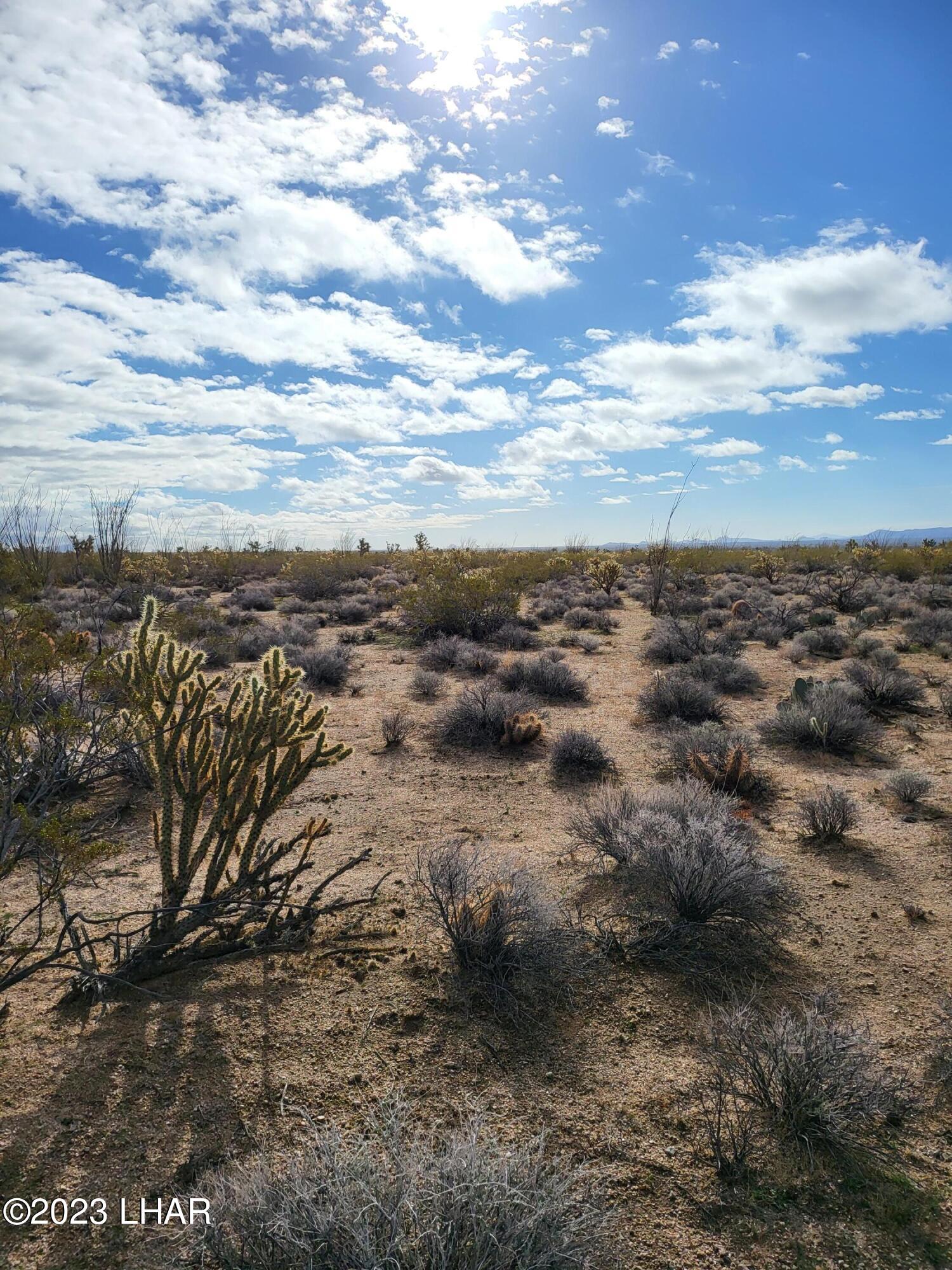 2832 South Billy The Kid Road Yucca, AZ 86438 - Photo 4 of 9 20230103_111303