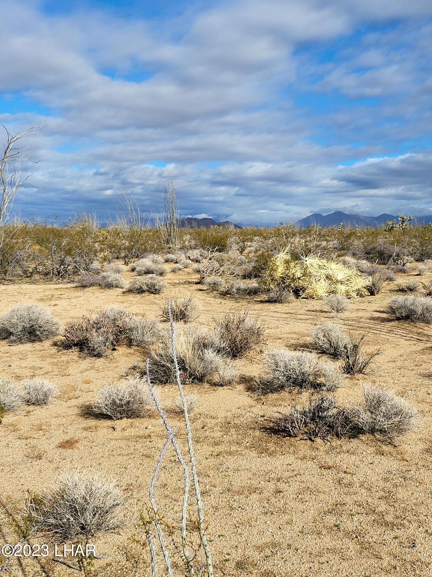 2832 South Billy The Kid Road Yucca, AZ 86438 - Photo 6 of 9 20230103_111348