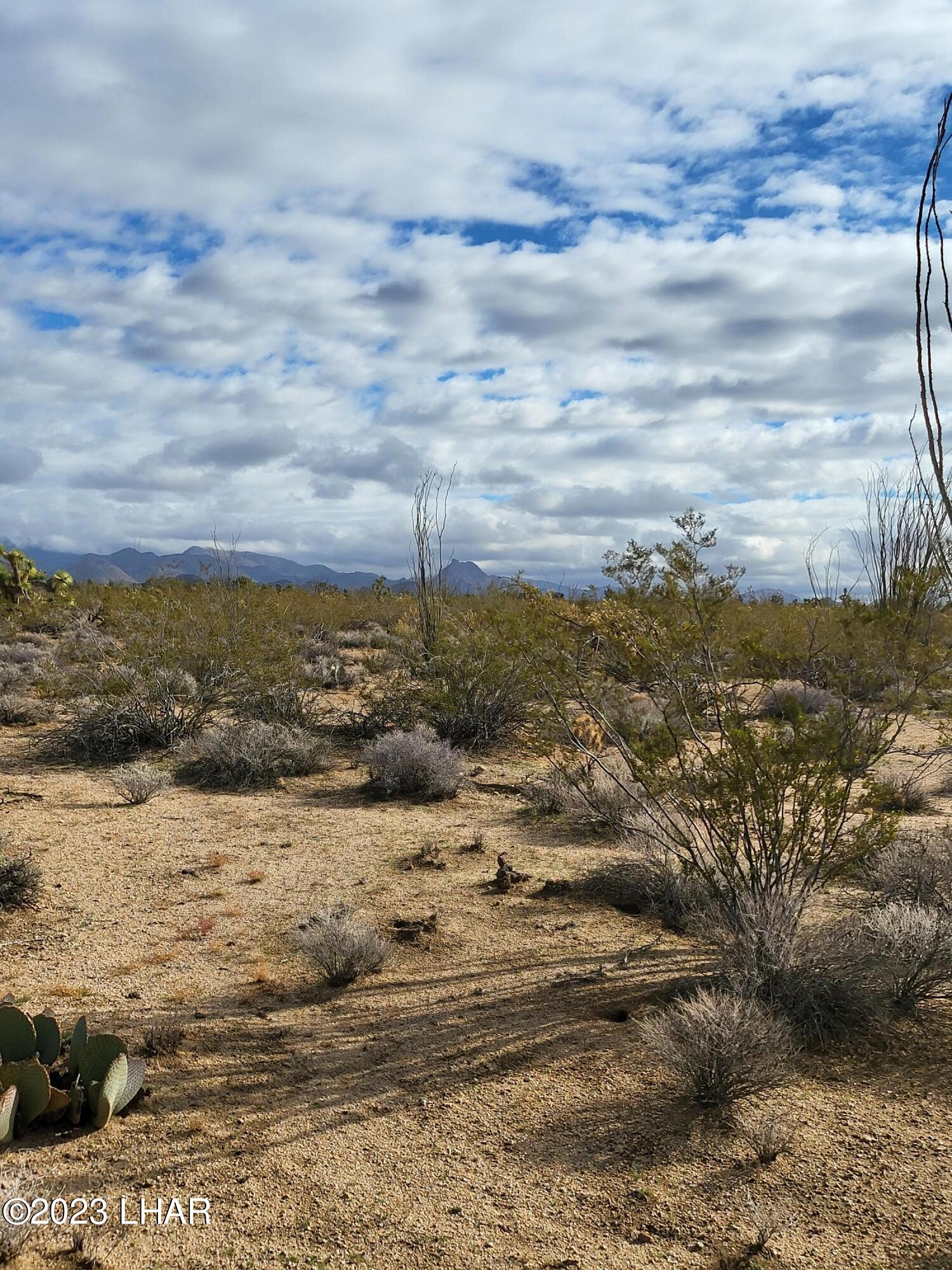 2832 South Billy The Kid Road Yucca, AZ 86438 - Photo 8 of 9 20230103_111345