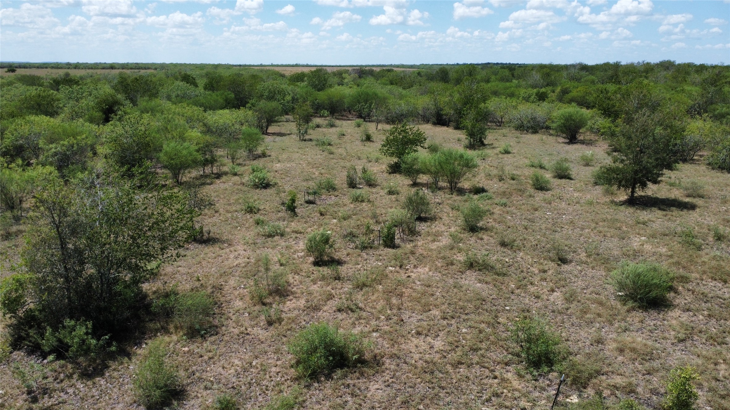 Tbd Pleasant Hl Road Lockhart, TX 78644 - Photo 7 of 8 Mature trees and native brush spread across the rolling terrain under blue skies.