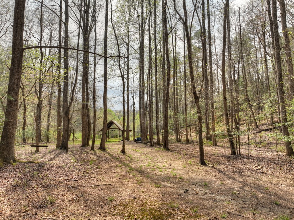9.13-ac Hells Hollow Road Blue Ridge, GA 30513 - Photo 35 of 59 Gallery Image 35