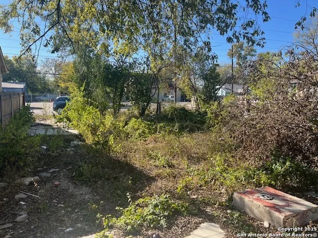 a view of a yard with plants and a bench