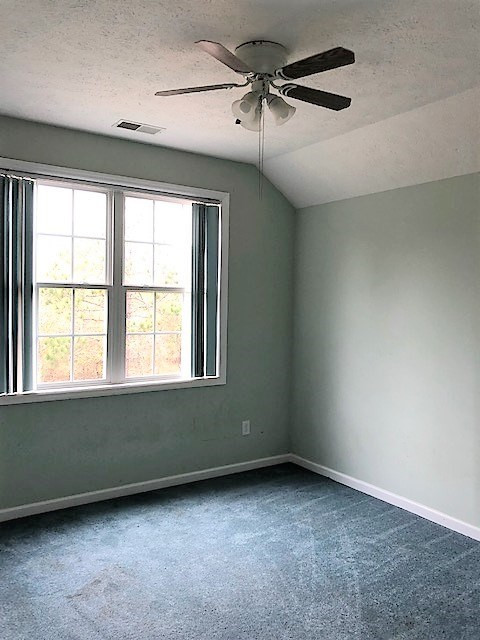 1521 Coleman Bridge Road Wagener, SC 29164 - Photo 14 of 20 Gallery Image 14