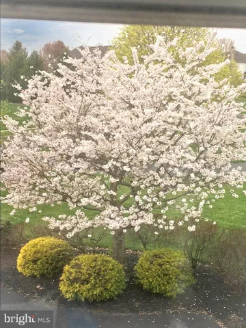 a view of a lake with a yard