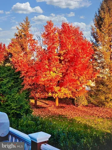 a view of a garden in front of a house