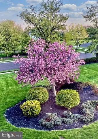 a view of a garden with a building in the background