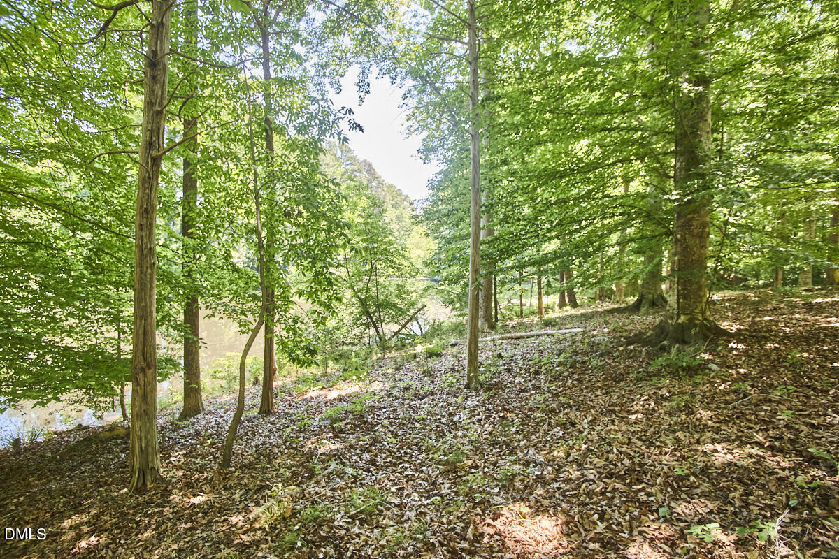 4204 Kerley Road Durham, NC 27705 - Photo 21 of 34 a view of a yard with a tree