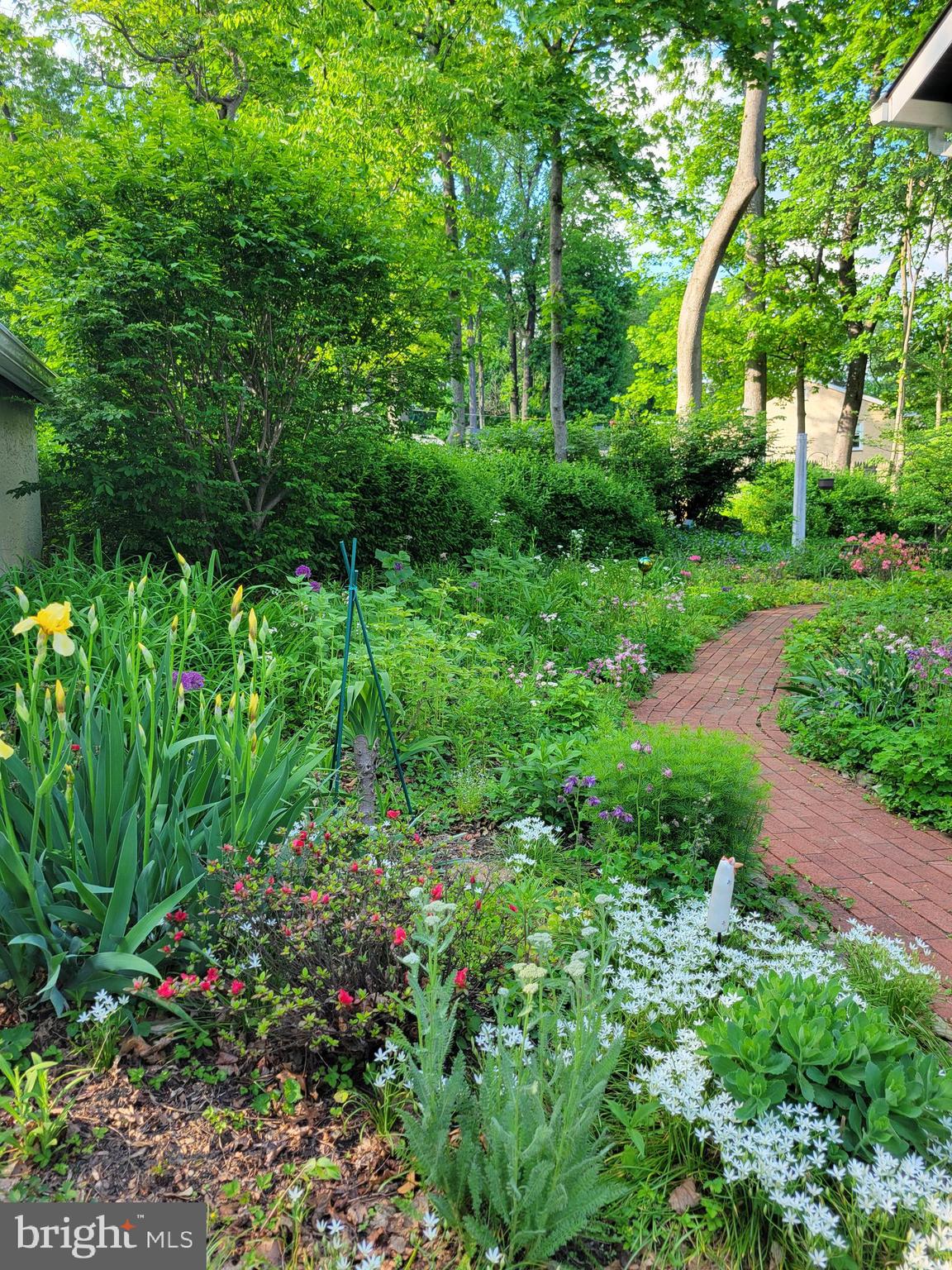 57 Grubb Road Malvern, PA 19355 - Photo 38 of 45 a view of a garden with plants and large trees