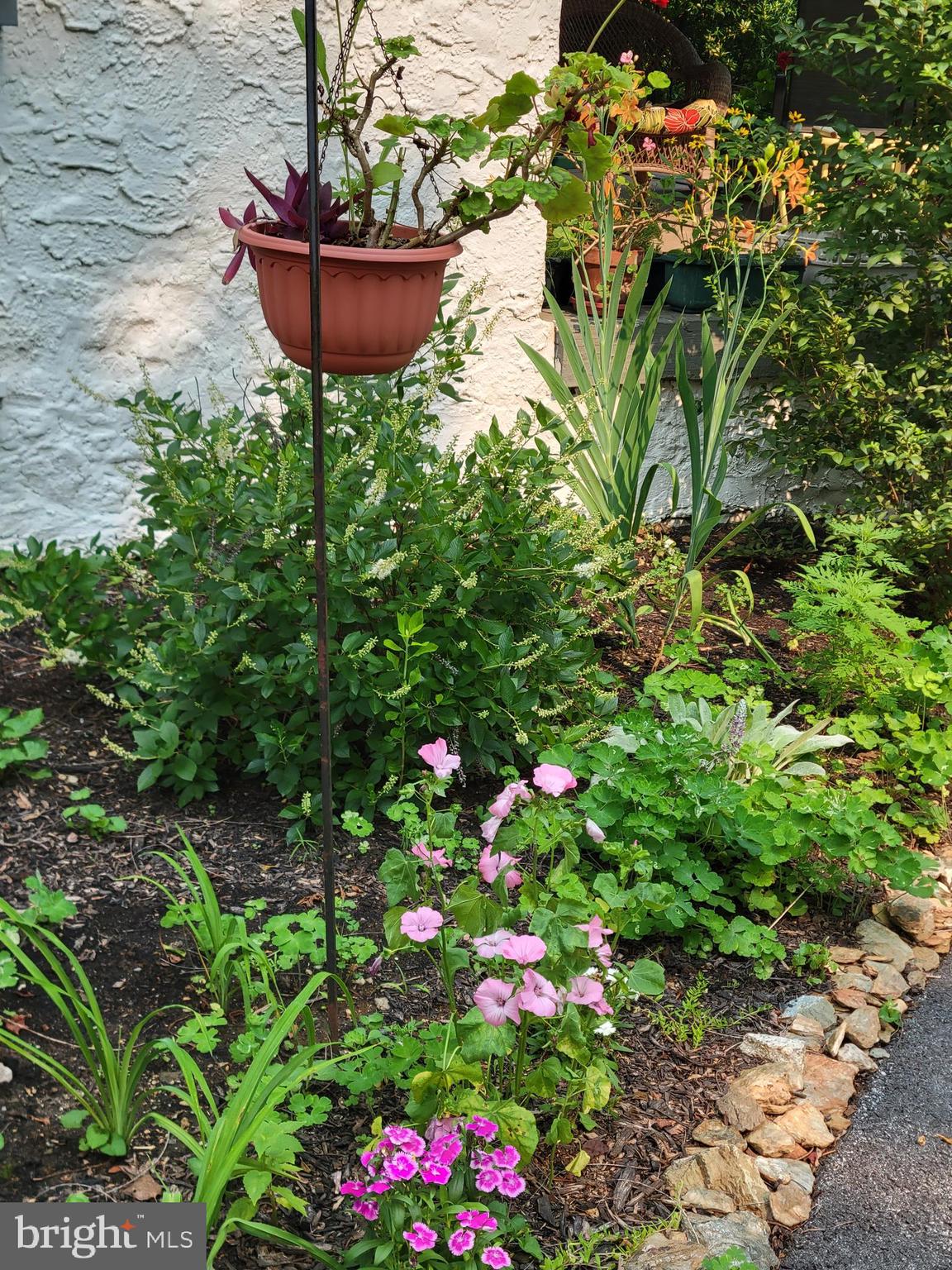 57 Grubb Road Malvern, PA 19355 - Photo 40 of 45 a view of a house with a flower garden