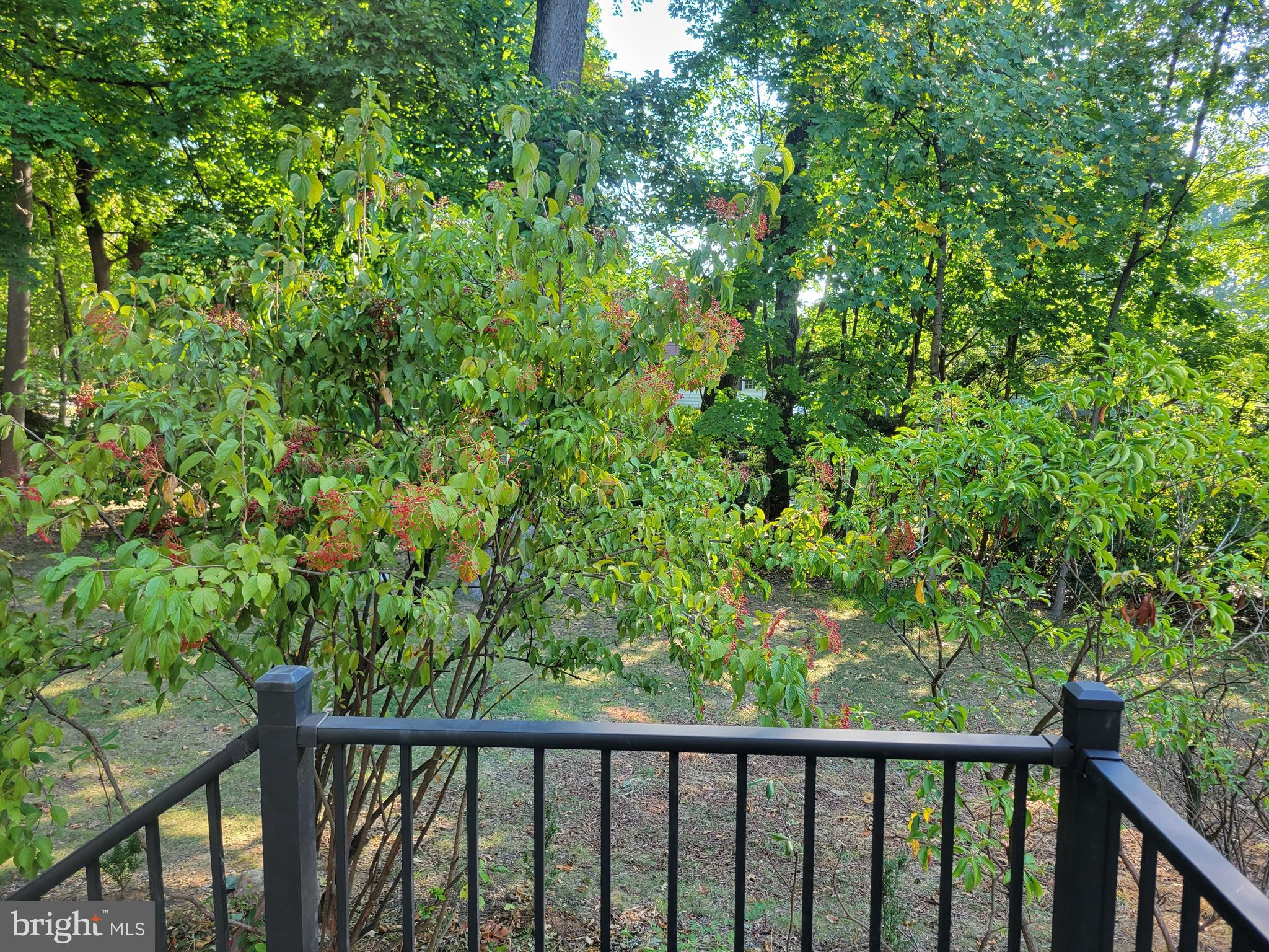 57 Grubb Road Malvern, PA 19355 - Photo 42 of 45 a view of a garden from a balcony
