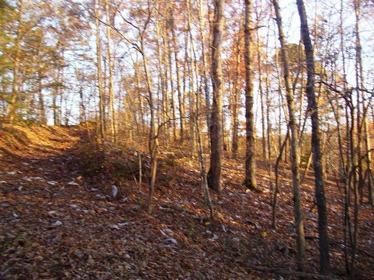 3380 Chaney Ridge Road London, KY 40741 - Photo 9 of 14 Photo 9
