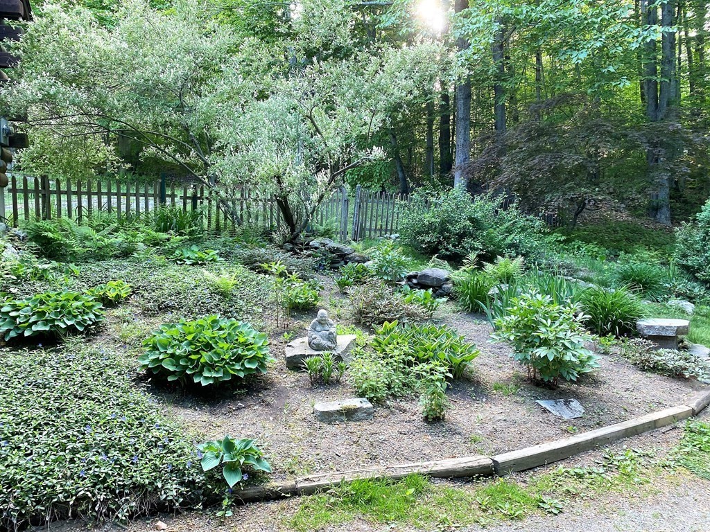 266 Alexander Road Leyden, MA 01337 - Photo 27 of 33 a view of a garden with plants