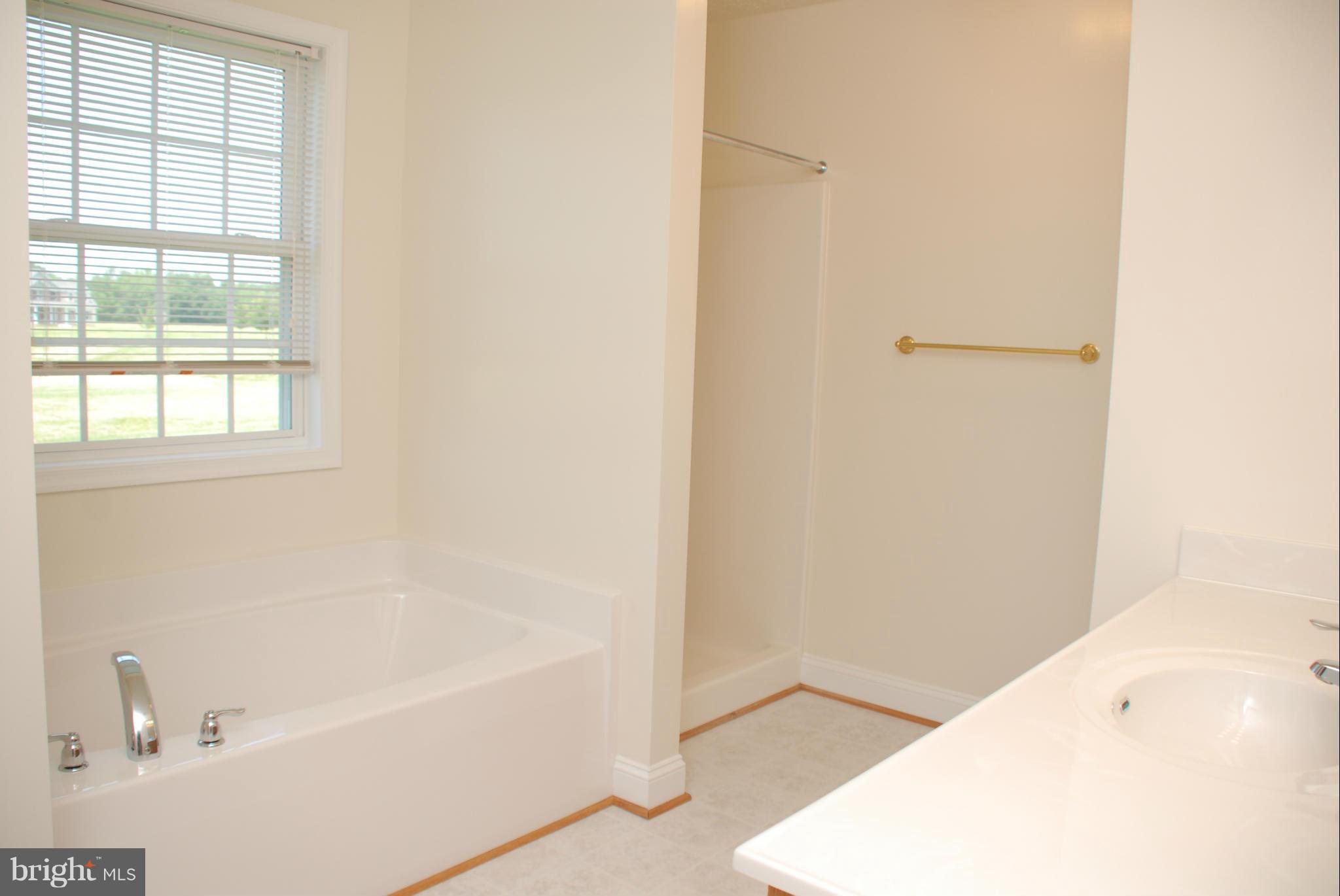 18161 St Jeromes Neck Road Dameron, MD 20628 - Photo 18 of 30 Bath (Master)