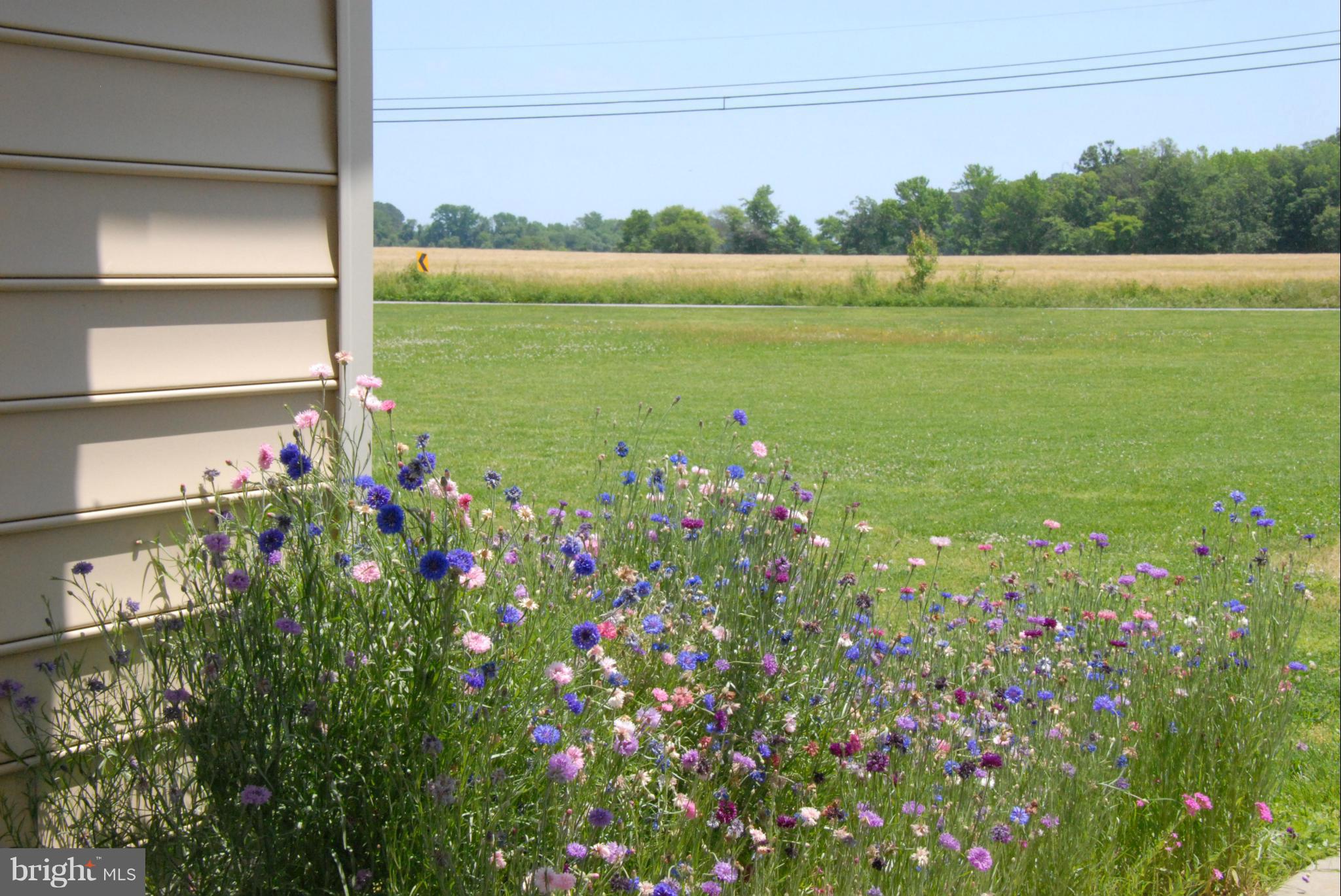 18161 St Jeromes Neck Road Dameron, MD 20628 - Photo 23 of 30 Exterior (Front)