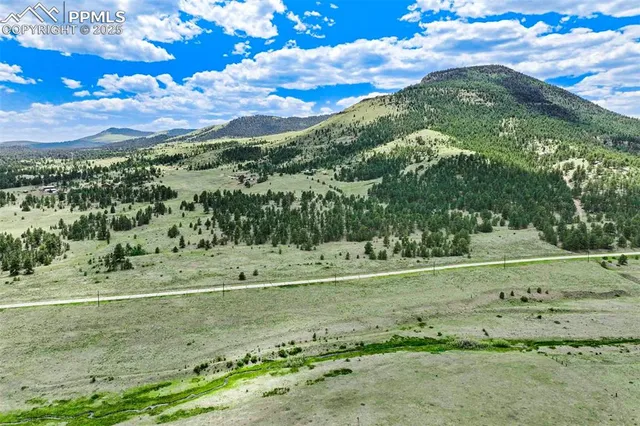 a view of a field with of trees