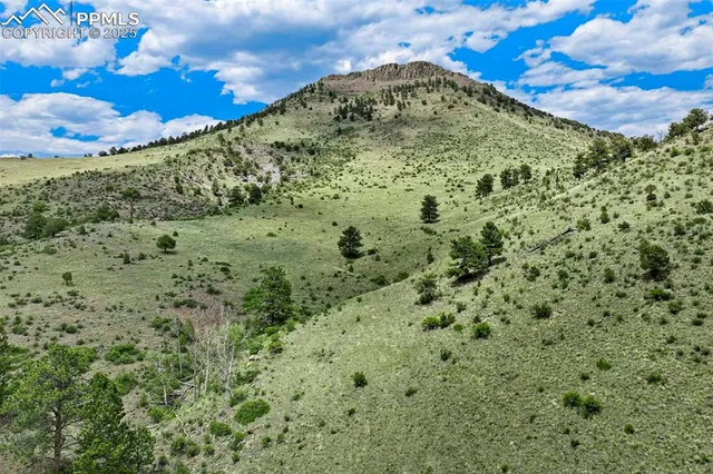 a view of a garden with a building