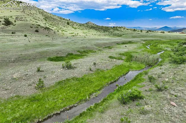 a view of a lush green space with lots of trees