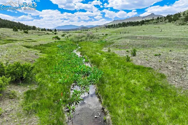 a view of a lush green space
