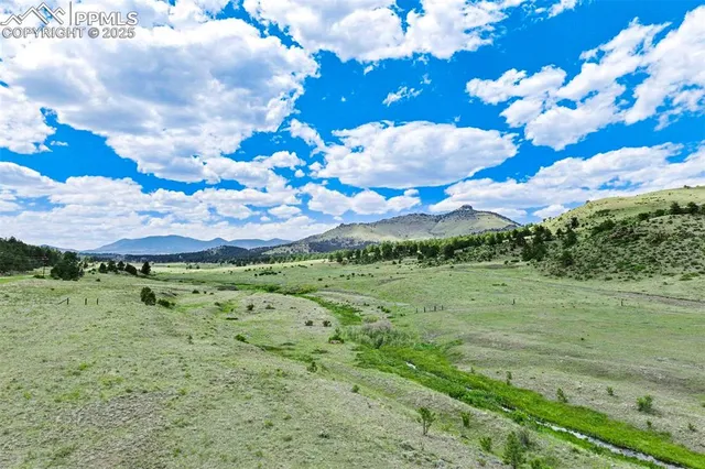 a view of a bunch of trees and houses