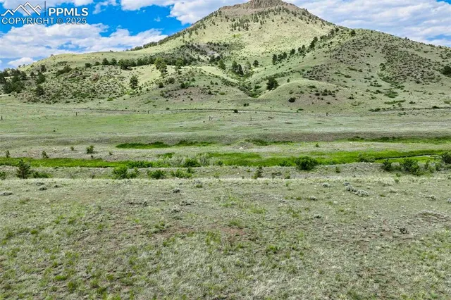 a view of a field with an trees