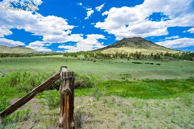 a view of a garden with a lake