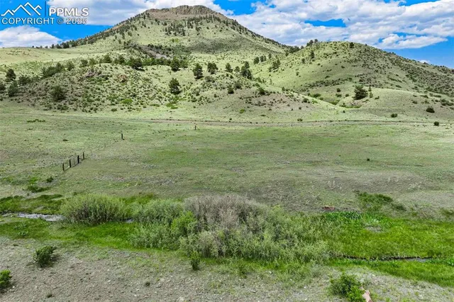 a view of a field with an trees