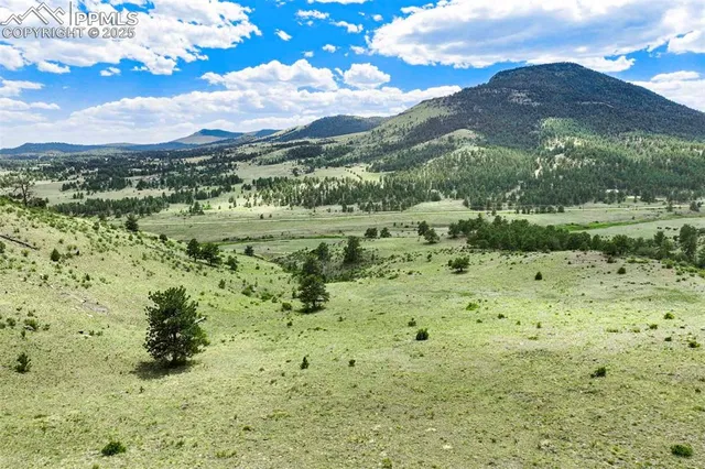 a view of a lush green hillside and houses