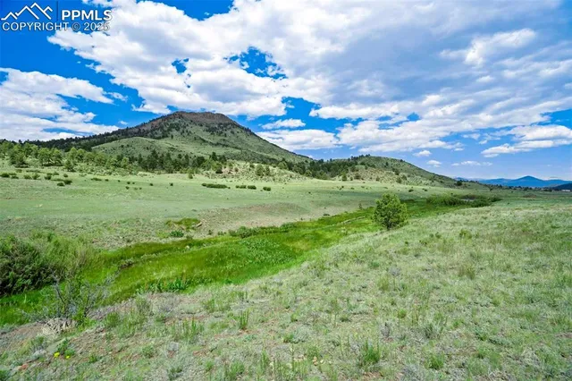 a view of a big yard with lots of green space