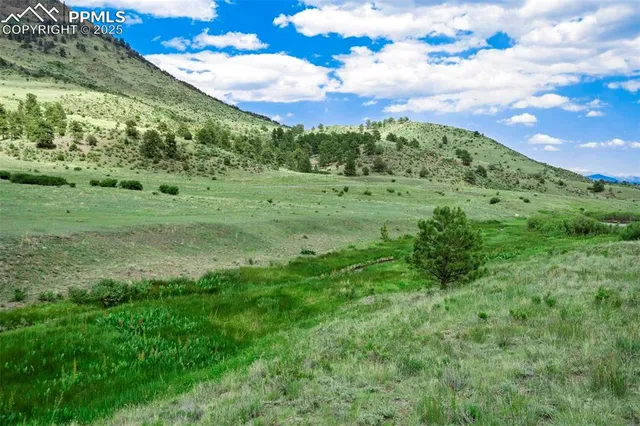 a view of a green field with lots of green space