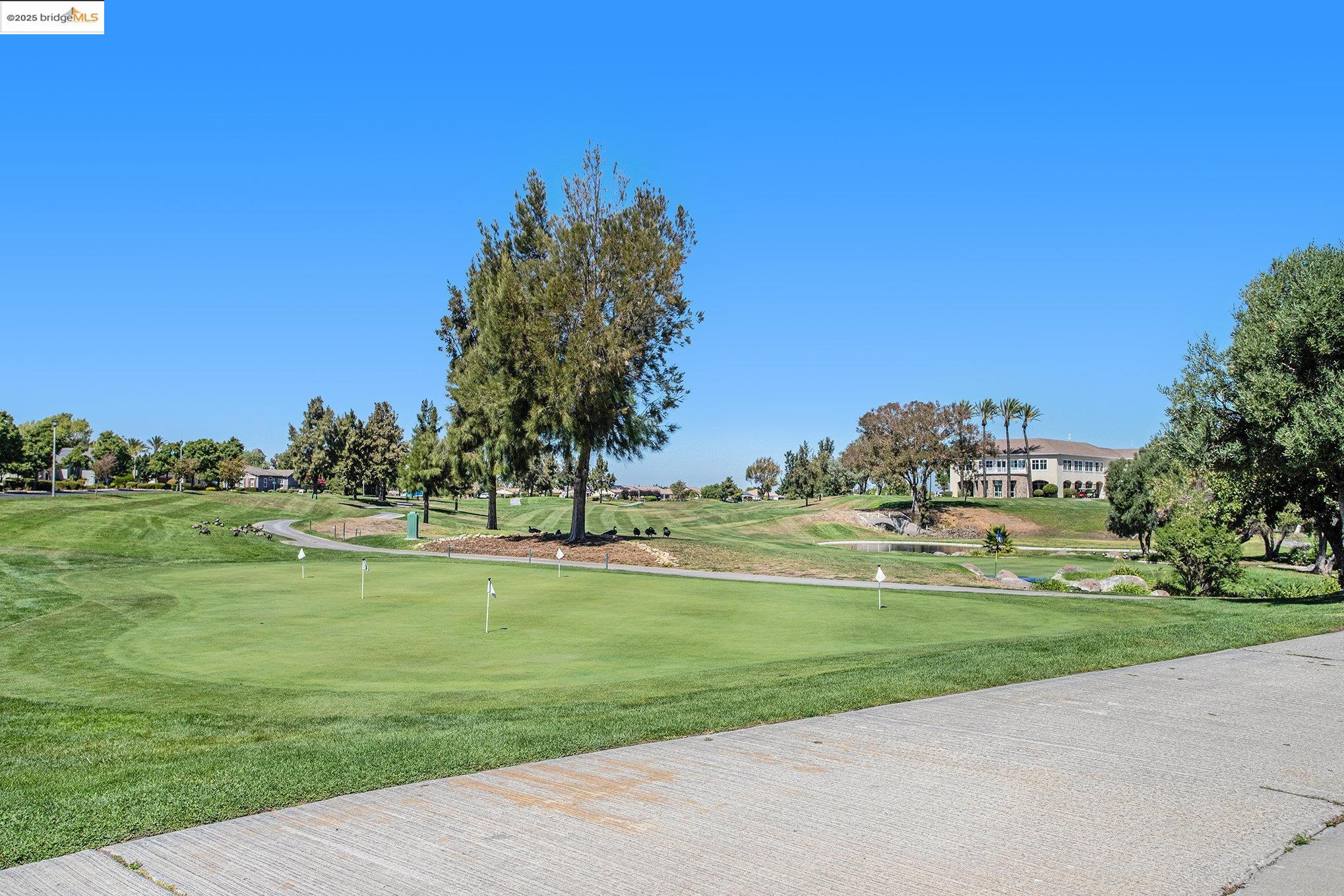 299 Marks Road Rio Vista, CA 94571 - Photo 29 of 39 View of community with view of golf course, a putting green, and a yard