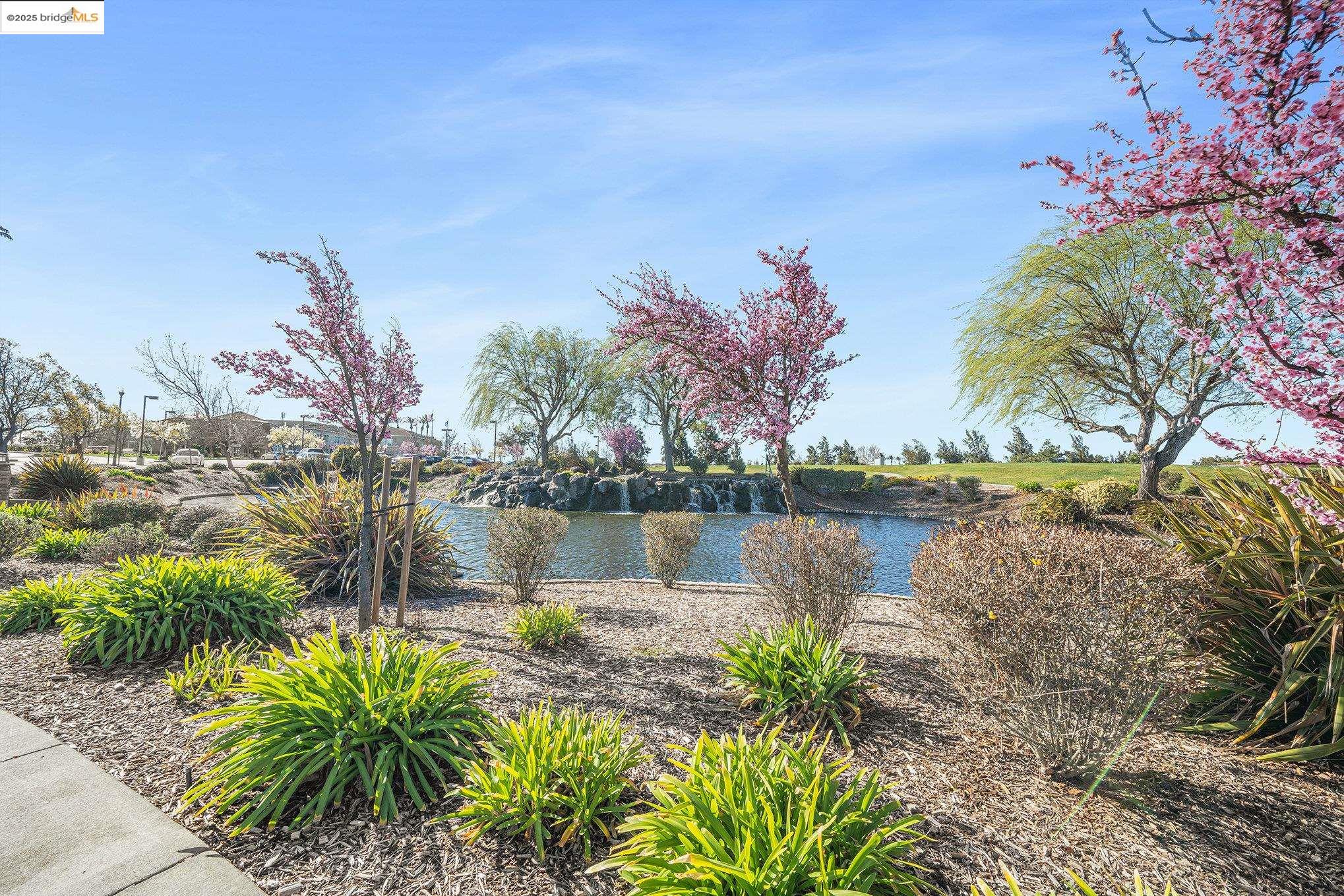 299 Marks Road Rio Vista, CA 94571 - Photo 35 of 39 Water view