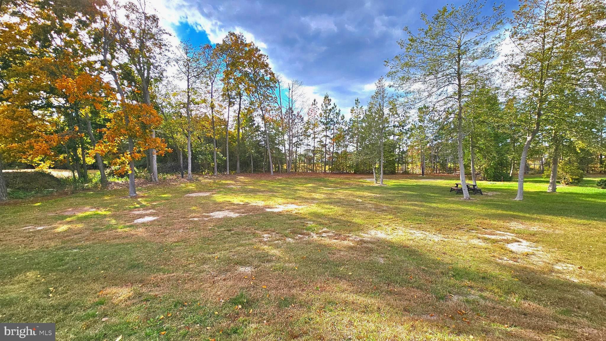 930 Johnson Road Salisbury, MD 21804 - Photo 16 of 69 Great Yard