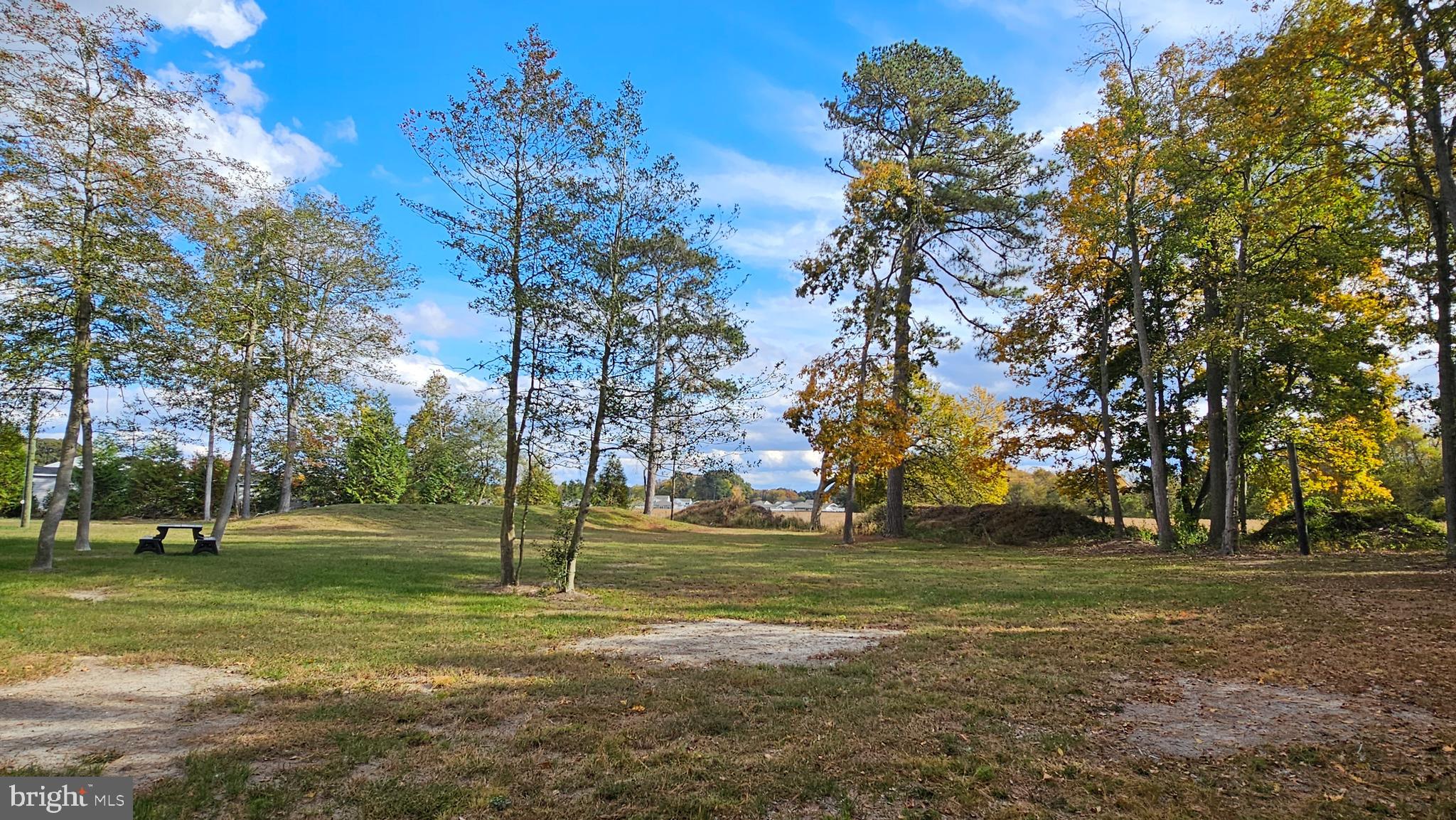 930 Johnson Road Salisbury, MD 21804 - Photo 17 of 69 Awesome Back Yard
