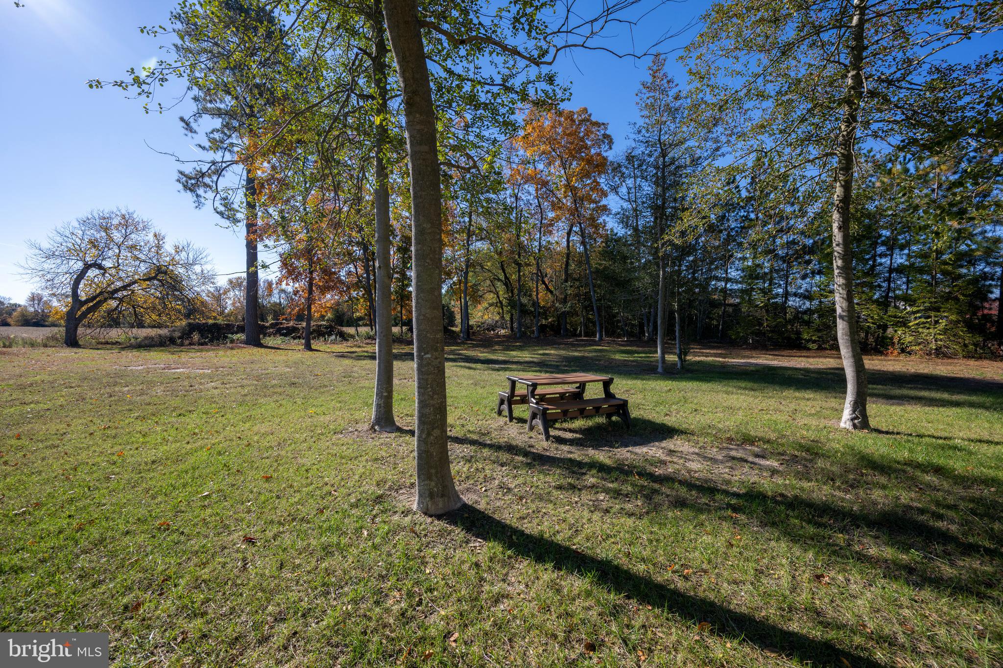 930 Johnson Road Salisbury, MD 21804 - Photo 21 of 69 a view of a park with large trees