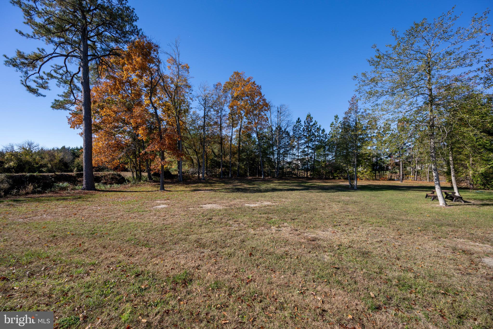 930 Johnson Road Salisbury, MD 21804 - Photo 22 of 69 Rear Yard