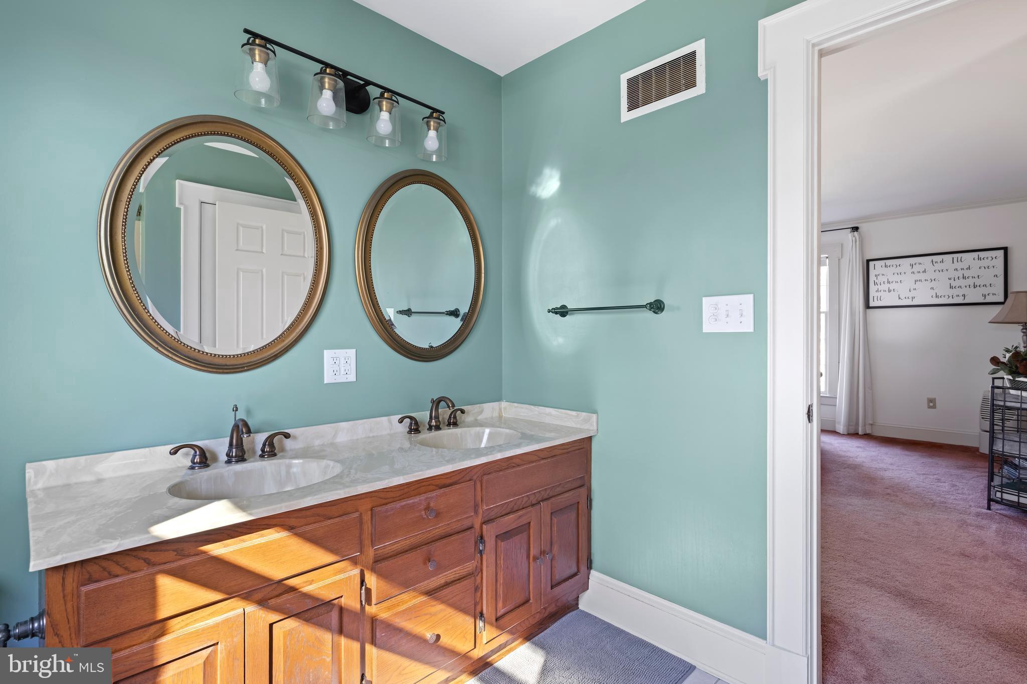930 Johnson Road Salisbury, MD 21804 - Photo 46 of 69 a bathroom with a sink and a mirror