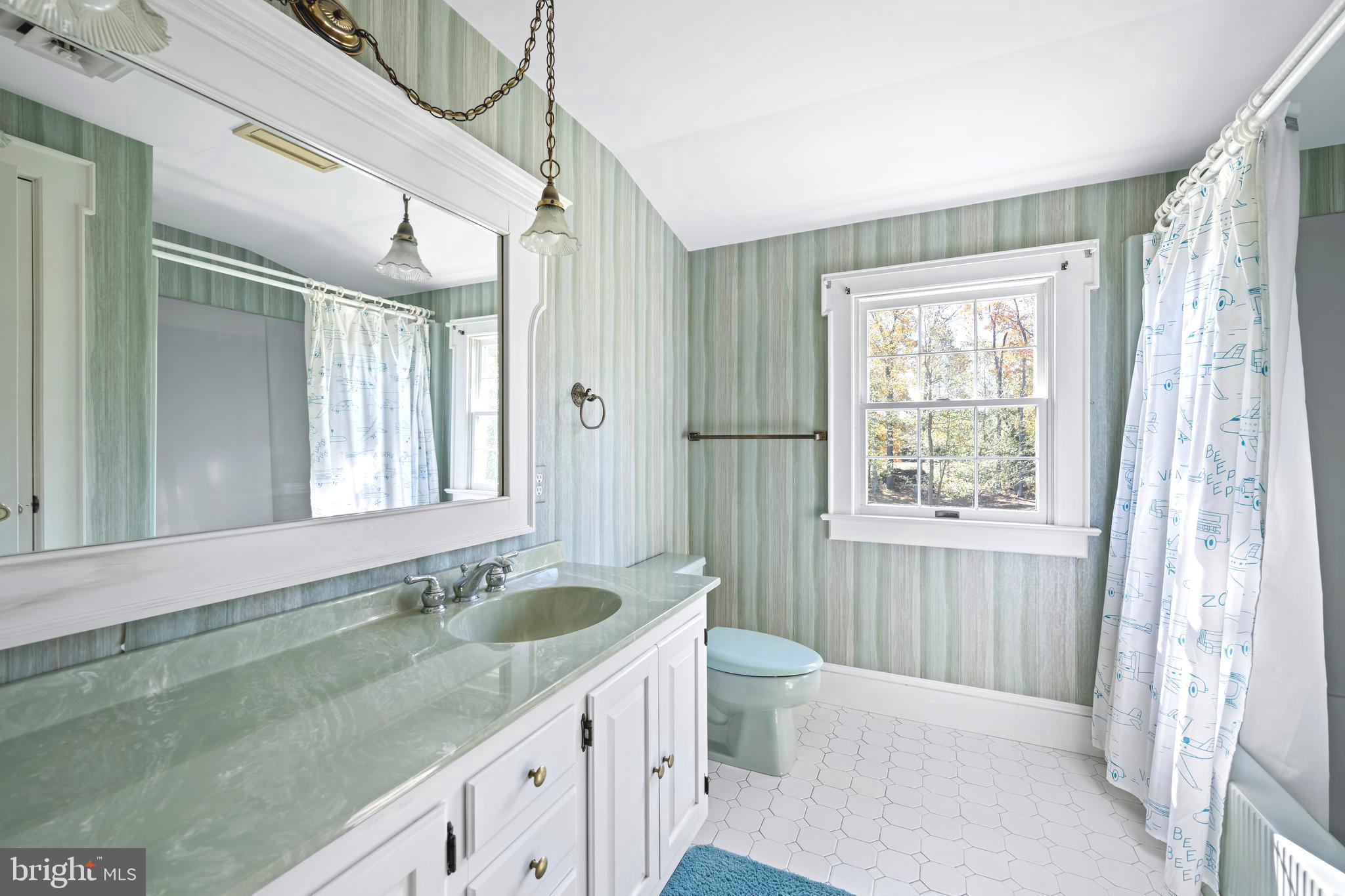 930 Johnson Road Salisbury, MD 21804 - Photo 56 of 69 a bathroom with a granite countertop sink and a mirror