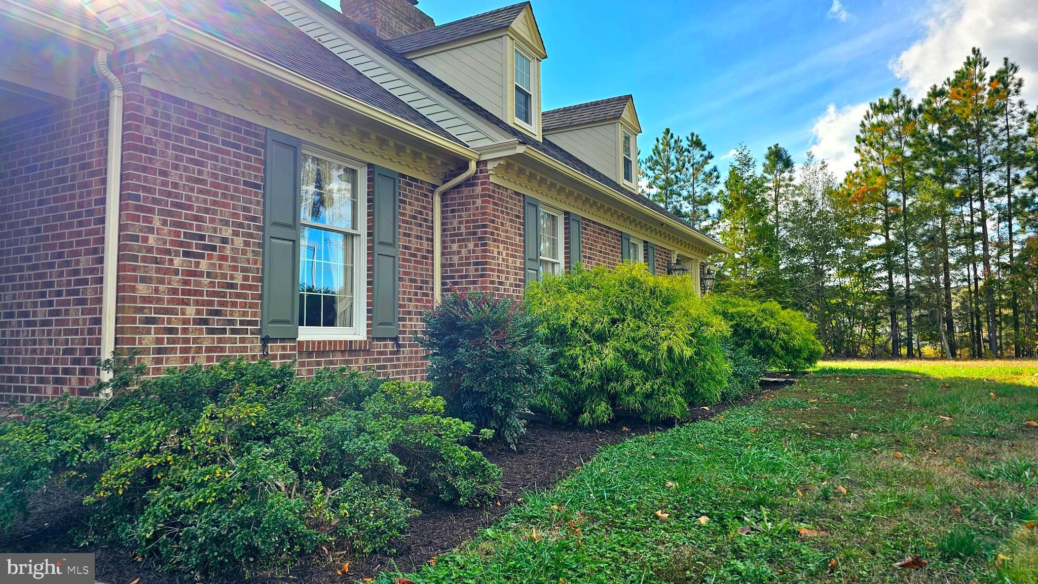 930 Johnson Road Salisbury, MD 21804 - Photo 65 of 69 a view of a backyard with plants and large trees