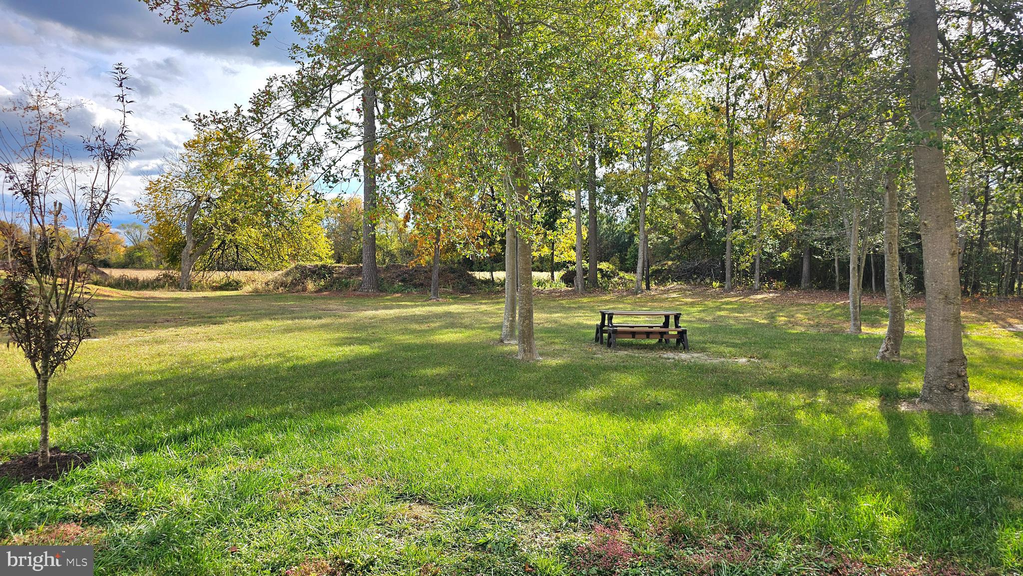 930 Johnson Road Salisbury, MD 21804 - Photo 10 of 69 a view of a park with swings and trees