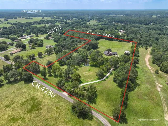 an aerial view of residential houses with outdoor space and trees